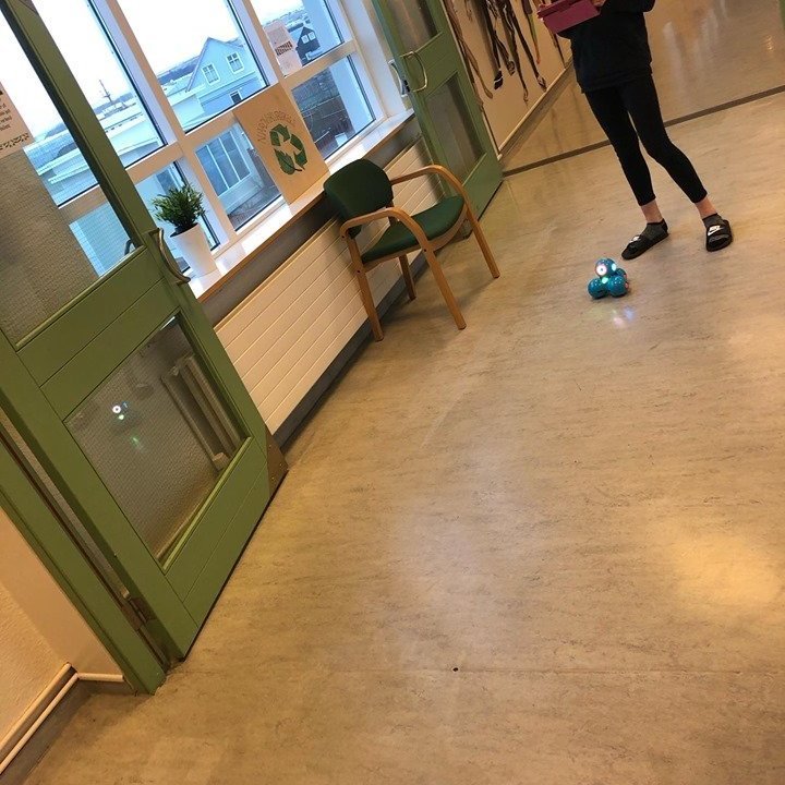 86183229_836266886839054_1639942393354518528_n