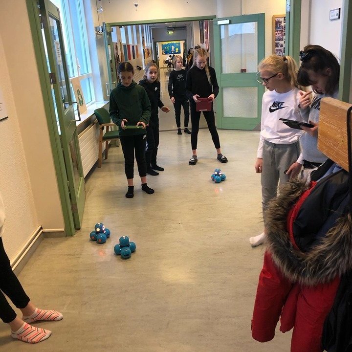 86184714_748653955543309_7856463355911864320_n