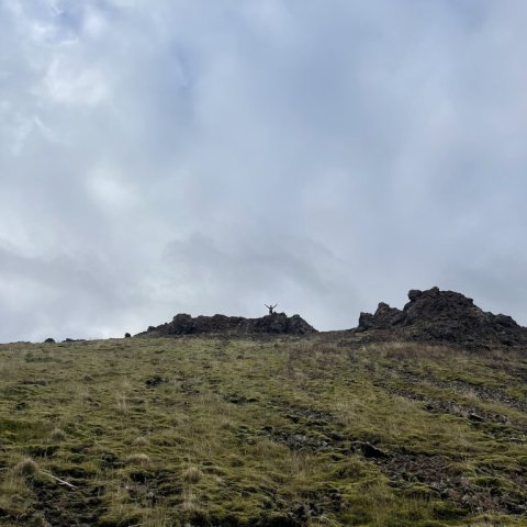 img_3561.jpeg