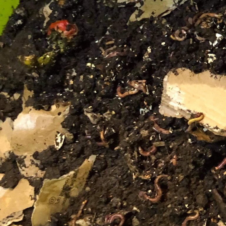 6e7a51ec-3f43-4520-8e04-9a045d8cc1f3