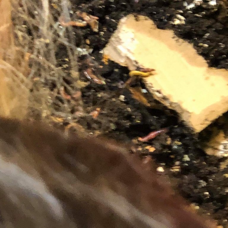 7b0e115f-9713-465b-8693-613feb2e1bc4