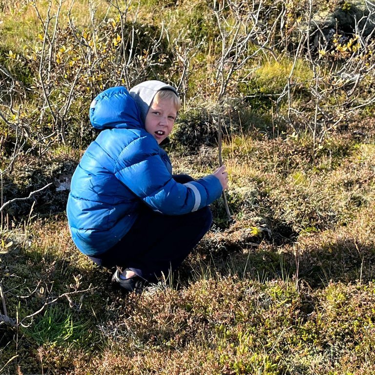 306534829_458367116229348_3883632462551917015_n