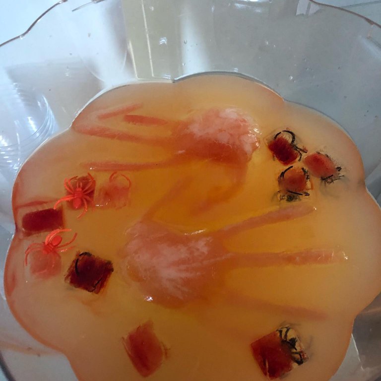 250063072_1517672035252957_8784400429793348591_n