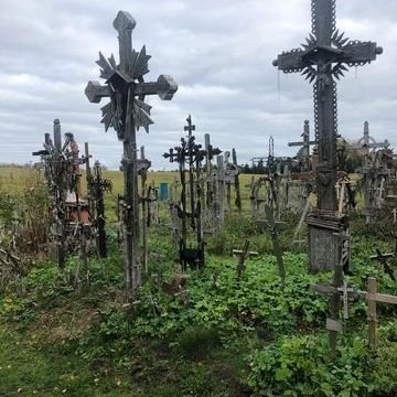 312906942_539556444651312_9027919255299611552_n