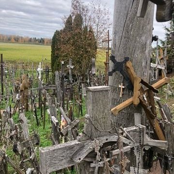 313017903_429422802506354_2313206275128918648_n