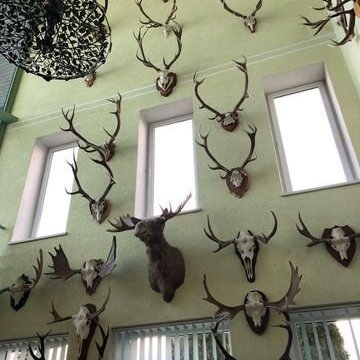 313050207_789570872357197_917909129986578132_n