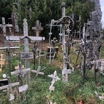 313358015_889222078906361_1874337466902933692_n