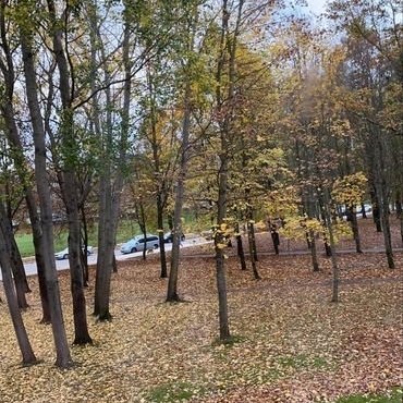 313371589_1472688903235677_1264742387348131396_n