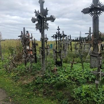 313408311_416502774016151_7872209278926365822_n