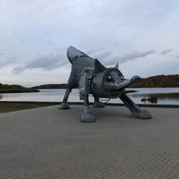 313476667_447321214184173_3351042397128632933_n