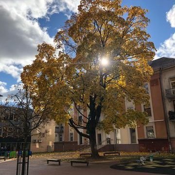 313476667_685071179861488_8858812814852677847_n