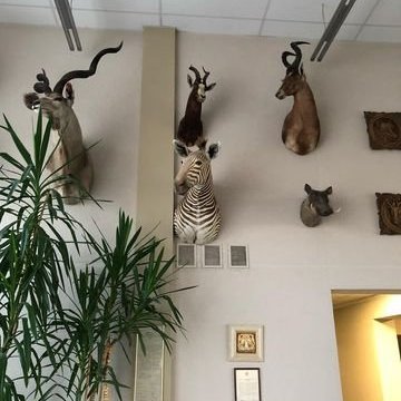 313486133_677314683753029_5209801192492643684_n