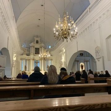 313505178_887815675493193_3351245978954081292_n