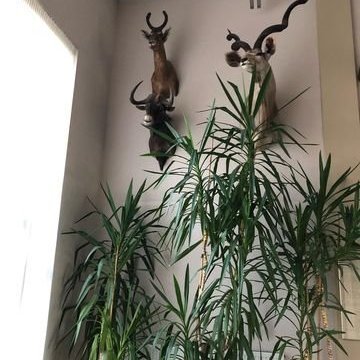 313515033_866183938075988_4069552971331973139_n