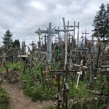 313525777_436484501951873_7240264671337854796_n