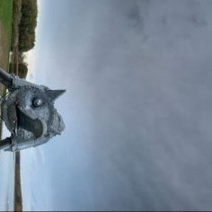 313525777_514531454047018_2921842635059585384_n