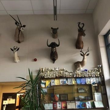 313549375_530474071783672_3714395384239106260_n