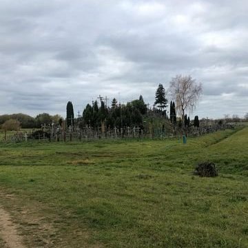 313549375_642659240668241_4100573011353789607_n