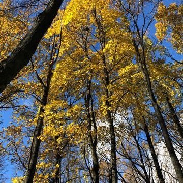 313553124_561894702364936_5532896754002742942_n