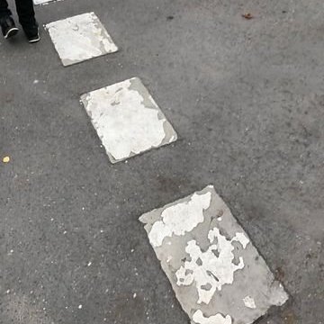 313778084_5393224517470140_9159690349436905280_n