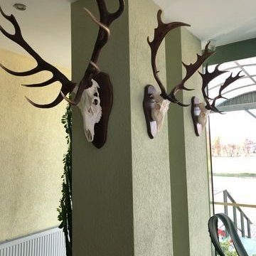 313781905_814102026305959_4618499461812861953_n