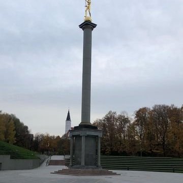 313782115_494541926025438_1401166522517744668_n