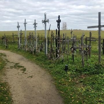 313782920_504354961583424_6508662701262795942_n