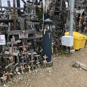 313787160_423788263254265_8912081027829973944_n