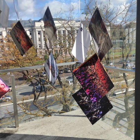 313787160_489869676440158_7026311880654458500_n