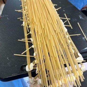 313791094_851556442876823_6627002805412488579_n