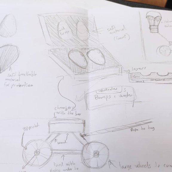 313814321_548663007269537_3181304049736009307_n