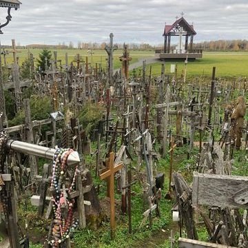 313818508_431335812496274_1794519432896460216_n