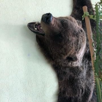 313834787_1125481591690697_3049743985799530322_n