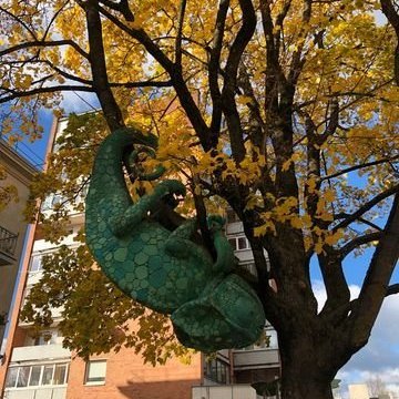 313839431_633782768330136_6962364935029909201_n