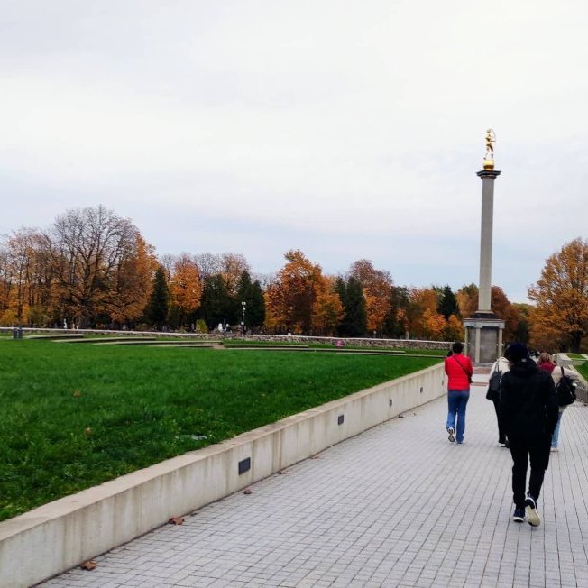 313840826_1433061247185012_6626001156548839646_n