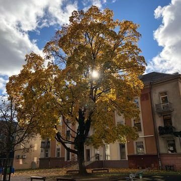 313855588_1324442398294217_6106763536392599543_n