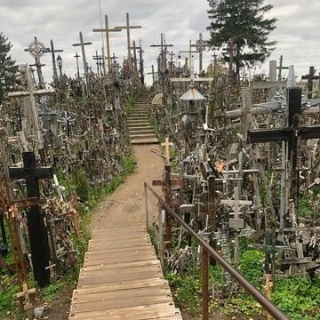 313860280_5539396329491917_11058424551206510_n