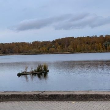 313861810_919645746108321_4584915865397608119_n