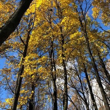 313872350_456327279902466_7268146802561401848_n