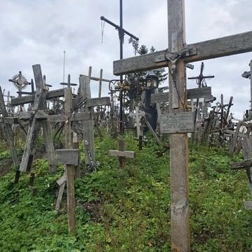 313891403_690126329345227_4654026248683024251_n