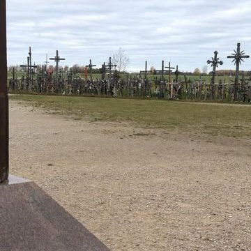 313905796_558111616025108_6550023789280243898_n