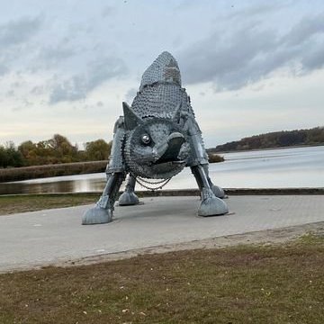 313907672_494203492724528_3178628769196522329_n