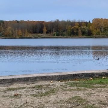 313917879_1225424035019053_2064610973458064220_n