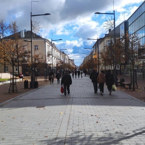 313924550_1411725355984873_8175062832558469703_n