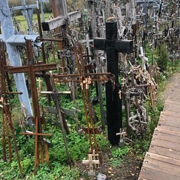 313924550_873467333787010_2989763154025721446_n