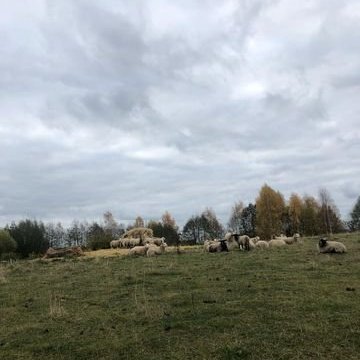 313988563_676807127391713_6262015580342707956_n