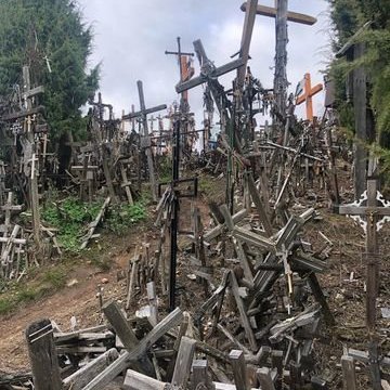 314020368_2021392281404469_4496234762702917854_n