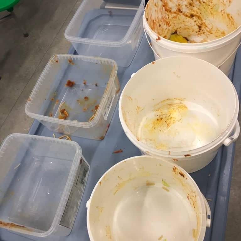 74346690_448894032407666_16468815873310720_n