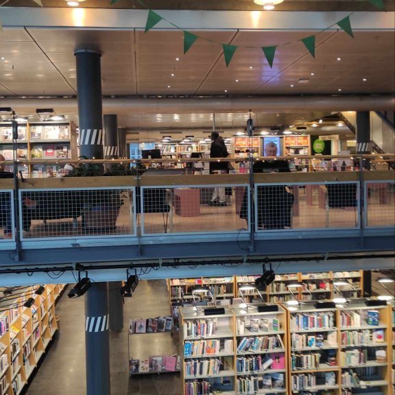 403611471_1564257774380210_4627835187851340361_n