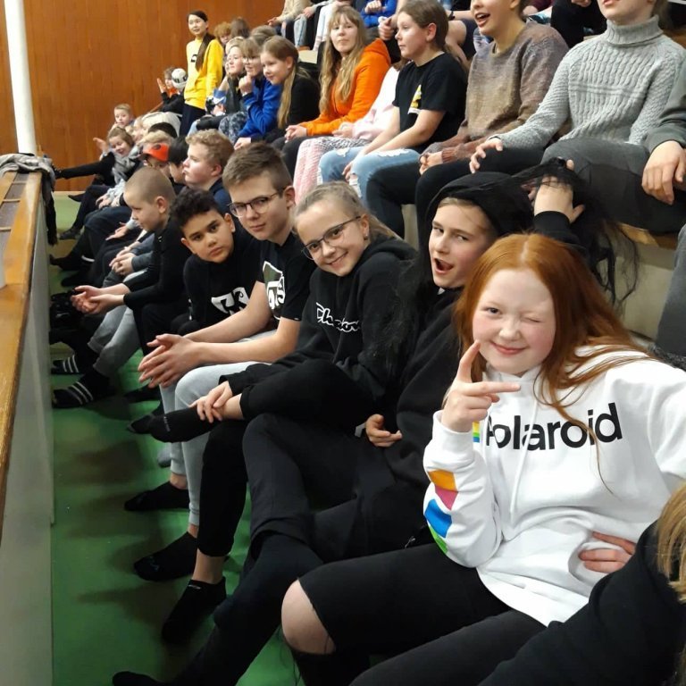 47375312_345599102685284_8143637182993661952_n